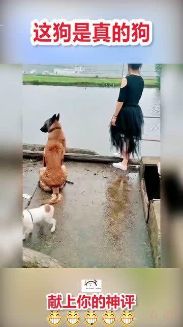 暴躁老哥最新爆料,揭秘娱乐圈惊人内幕！